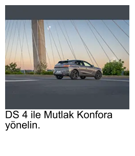 DS 4